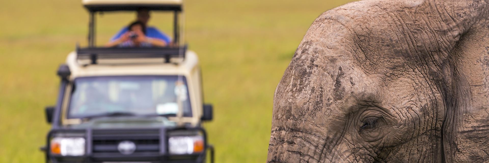 Getting close the elephant, Kenya