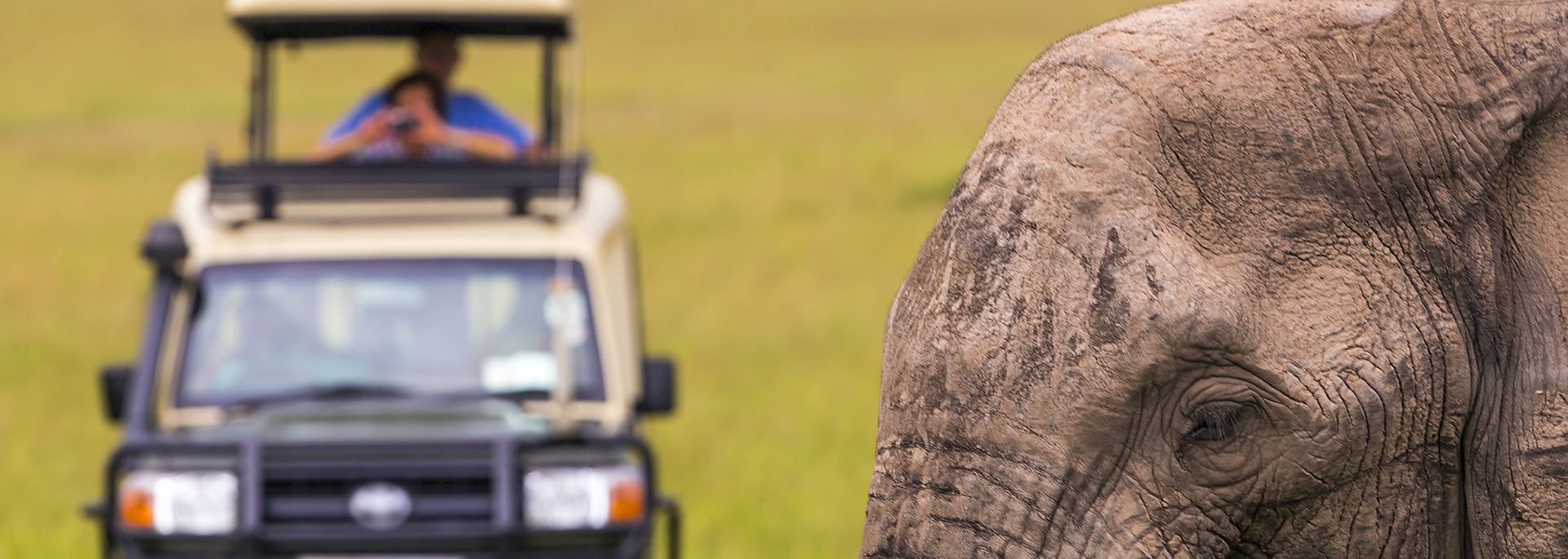 Getting close the elephant, Kenya