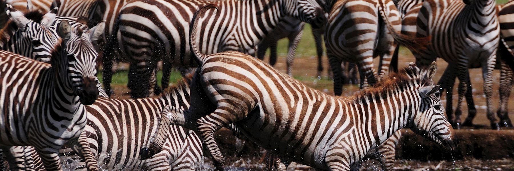 Kenya safaris & holidays