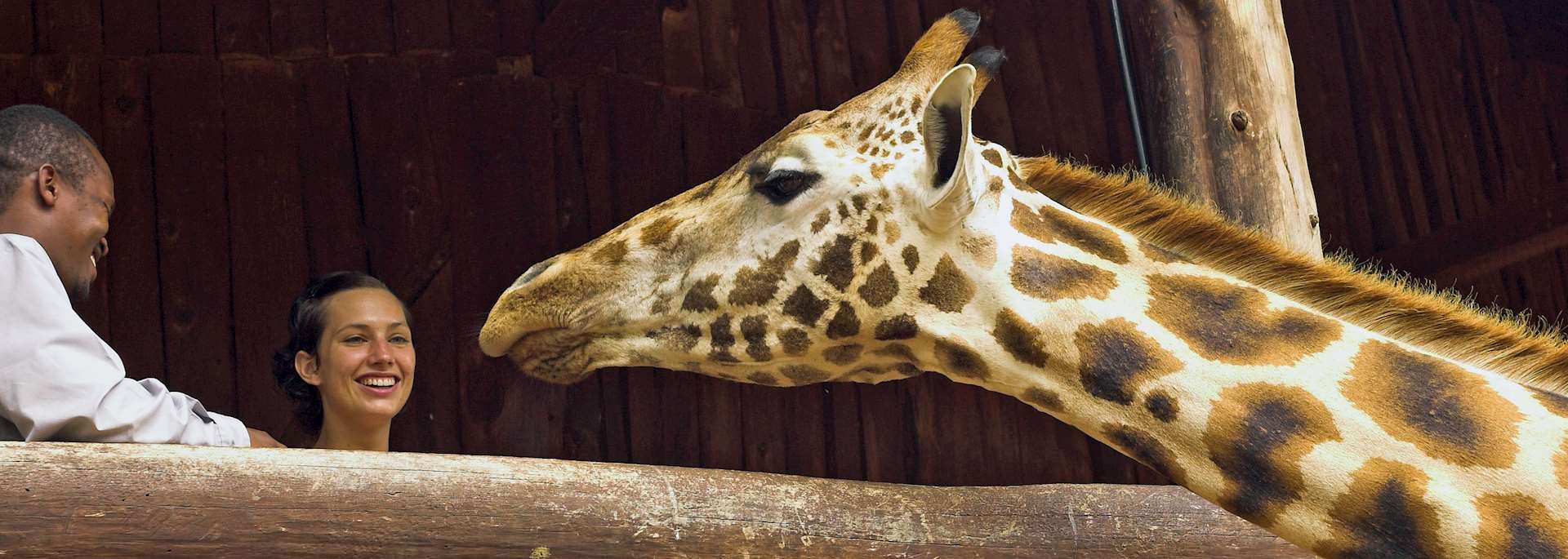 The Giraffe Centre in Nairobi