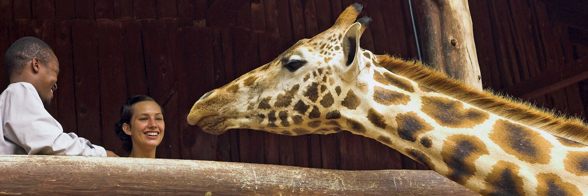 The Giraffe Centre in Nairobi