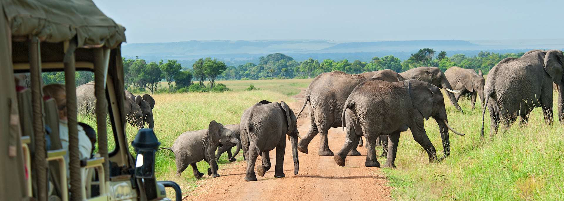 Safari drive in the Masai Mara