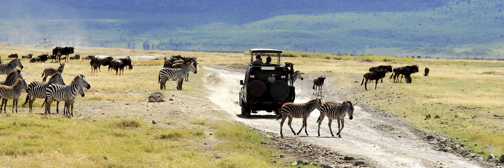 Safari drive in Tanzania