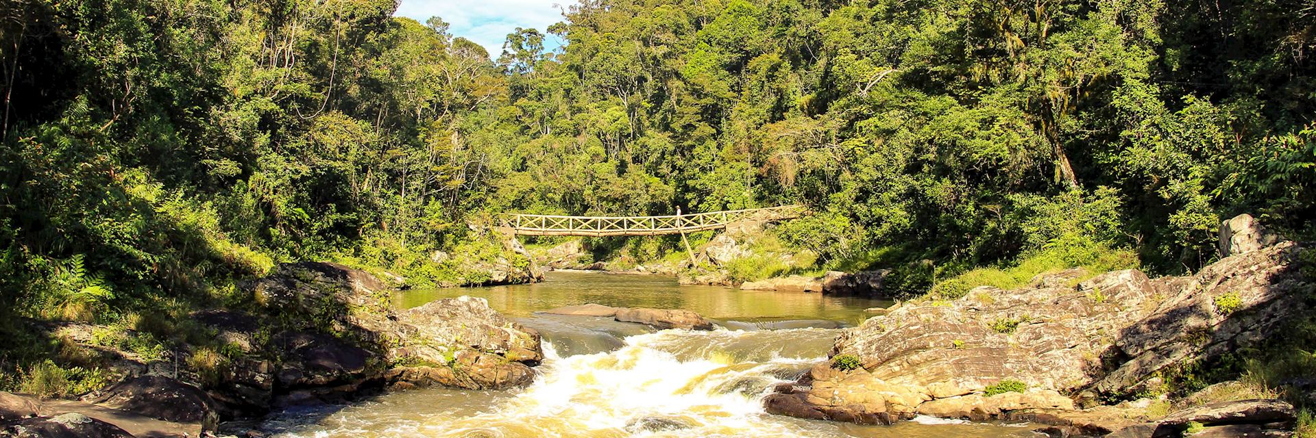 Ranomafana National Park