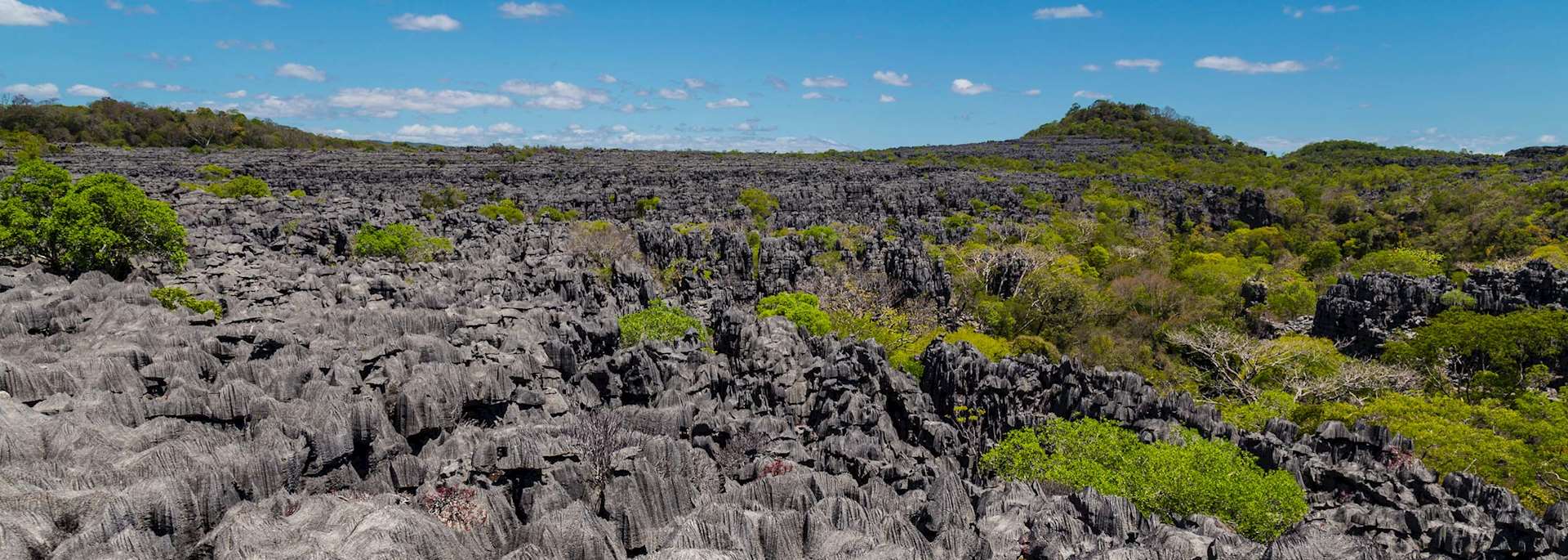 Ankarana Special Reserve, Madagascar