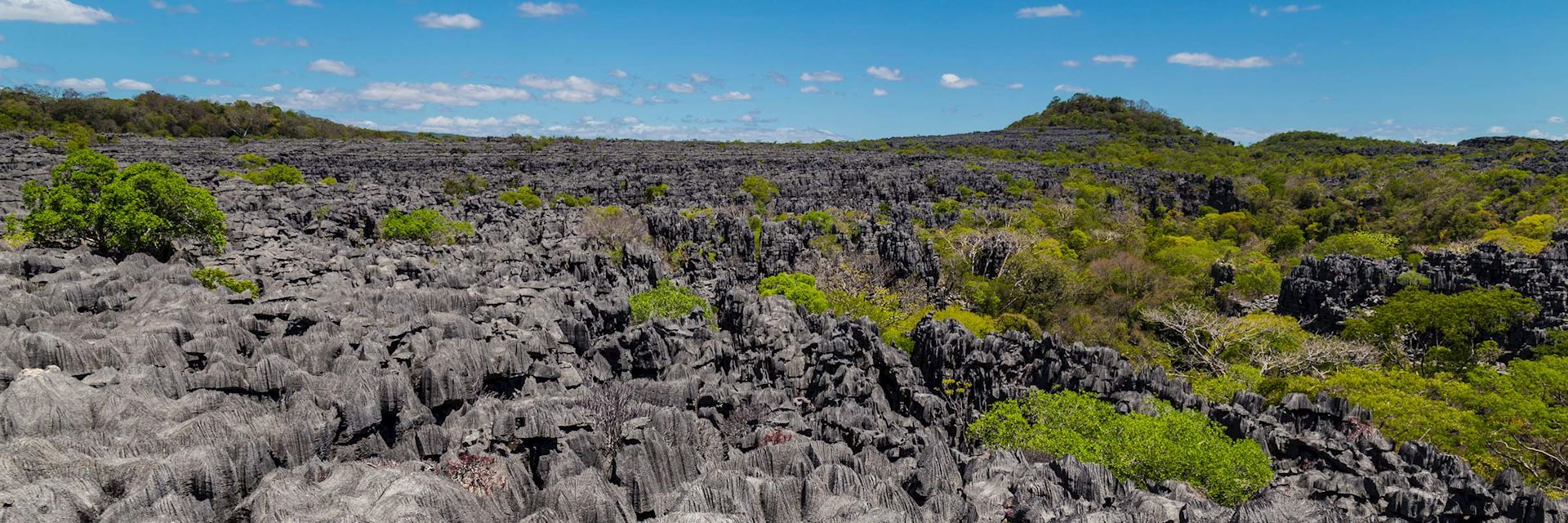 Ankarana Special Reserve, Madagascar