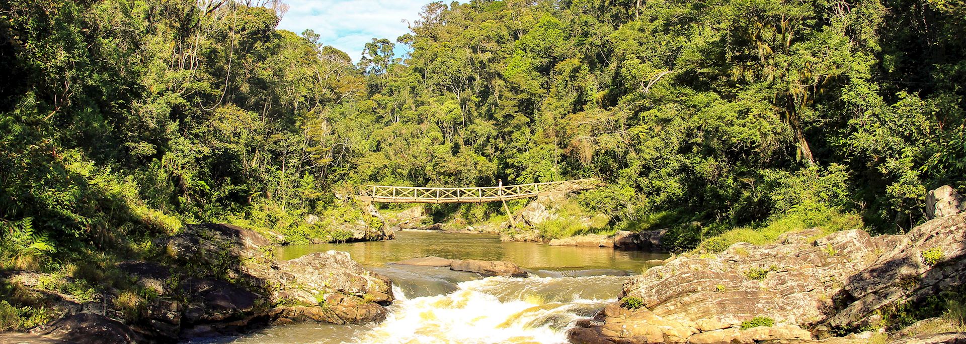 Ranomafana National Park