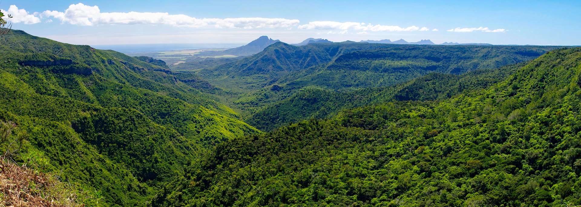 Black River Gorges National Park, Mauritius