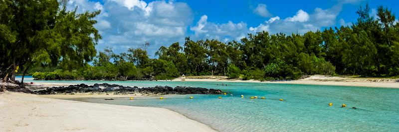 Look for starfish and coral on Ile aux Cerfs