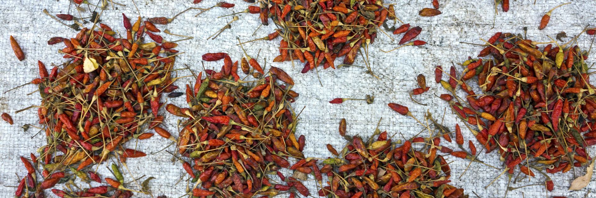 Chillies drying in a Mozambique market