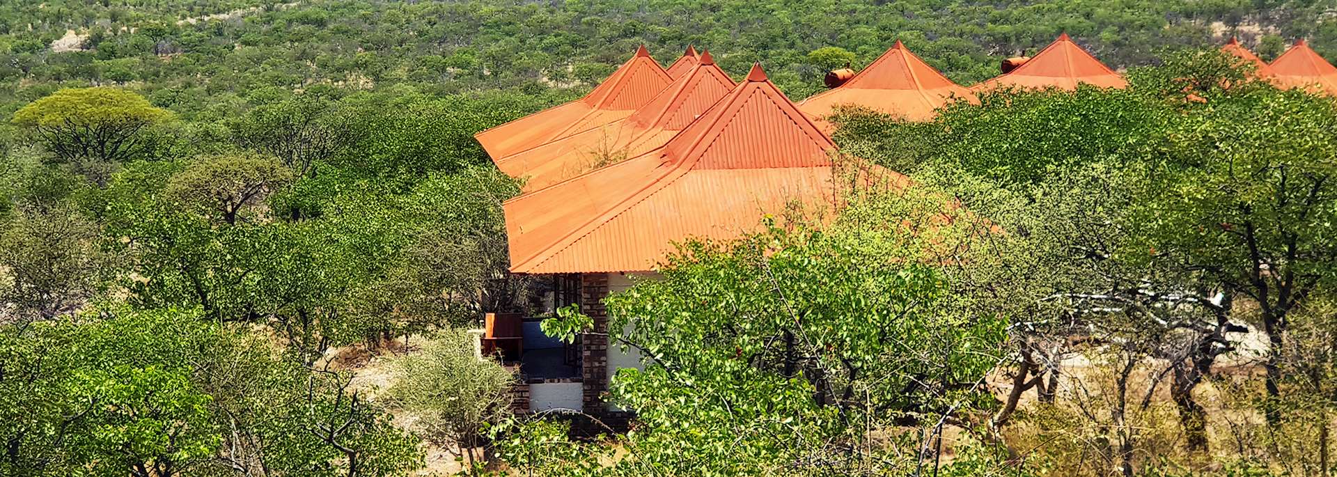 Etosha Safari Lodge