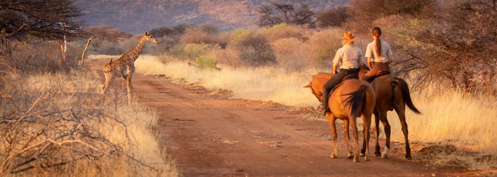 Horse riding at sunset, Namibia