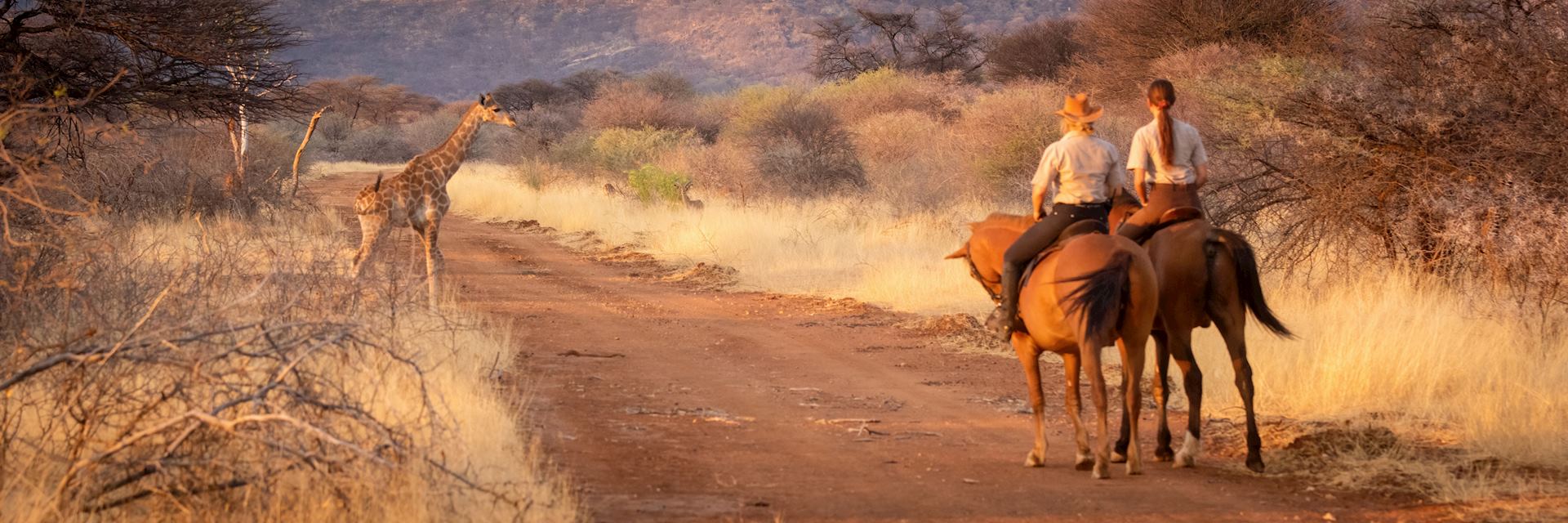 Horse riding at sunset, Namibia