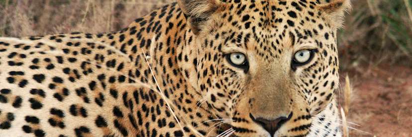 Namibia family safari | Audley Travel US