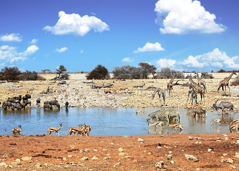 Waterhole, Etosha National Park