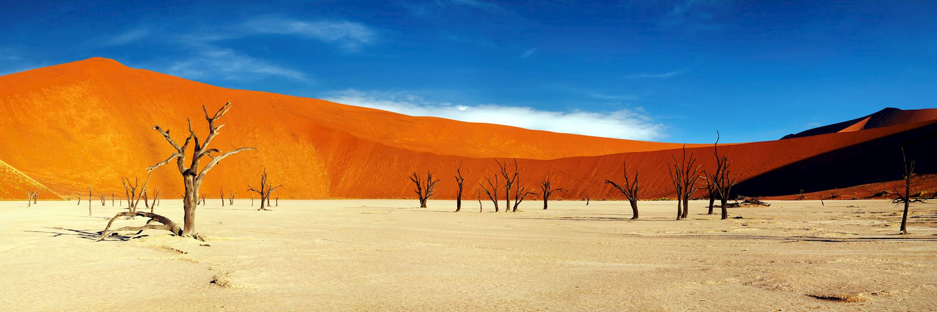 Sand dunes at Sossusvlei, Namib-Naukluft National Park