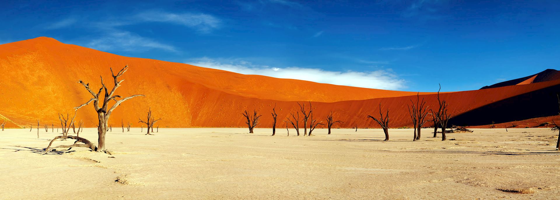 Sand dunes at Sossusvlei, Namib-Naukluft National Park