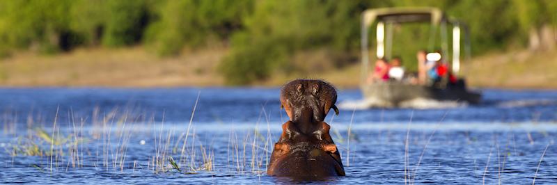 Boat safari on the Linyanti River, Nkasa Lupala National Park