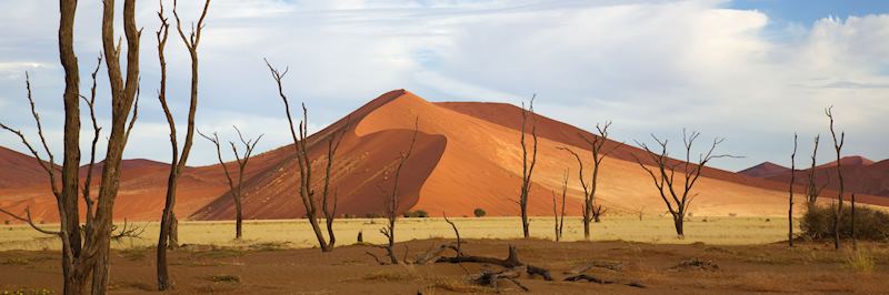 The sand dunes at Sossusvlei