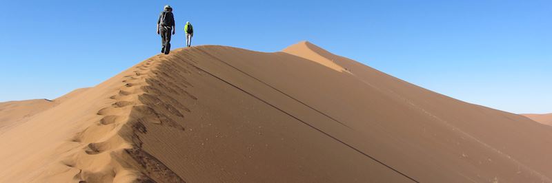 Giant sand dunes in Sossusvlei