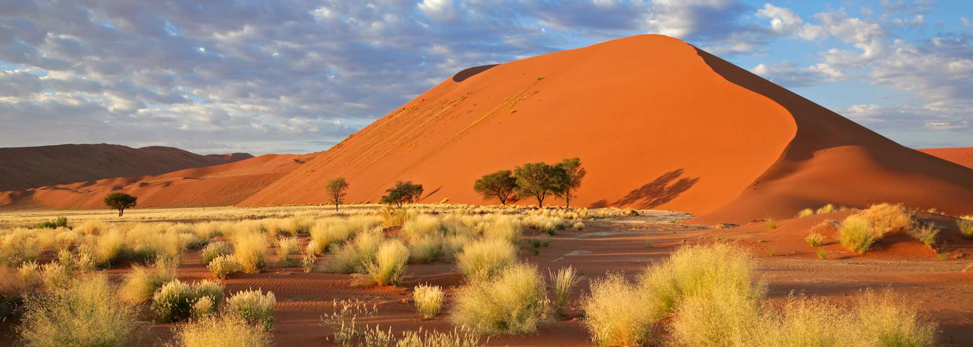 Dunes at Sossusvlei