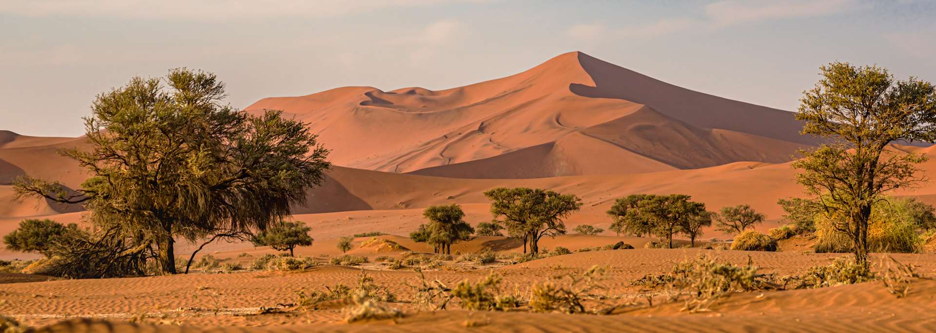 Dune landscape at Sossusvlei