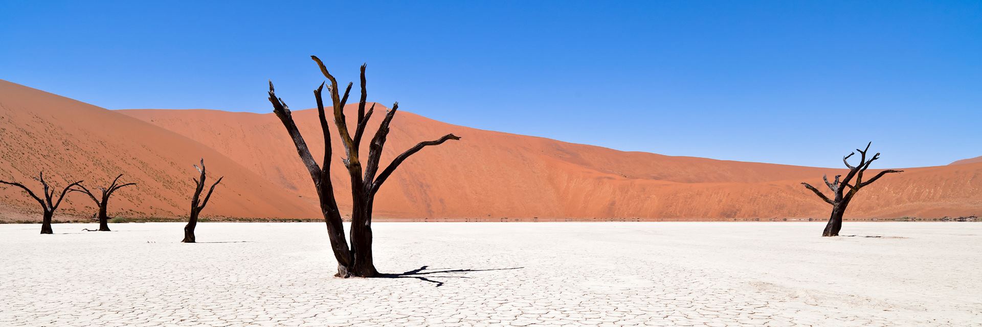 Deadvlei, Namibian desert