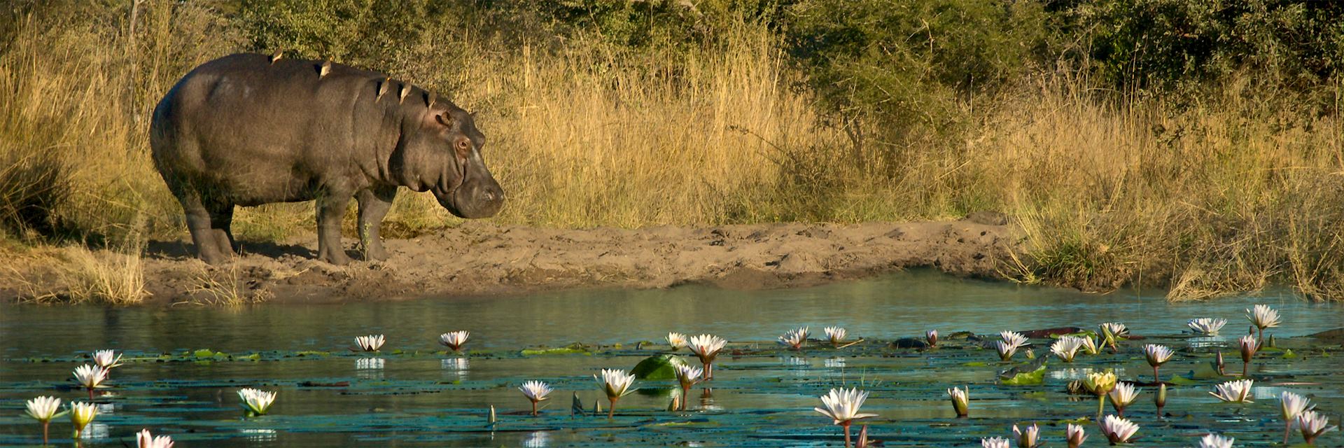 Caprivi Strip, Namibia