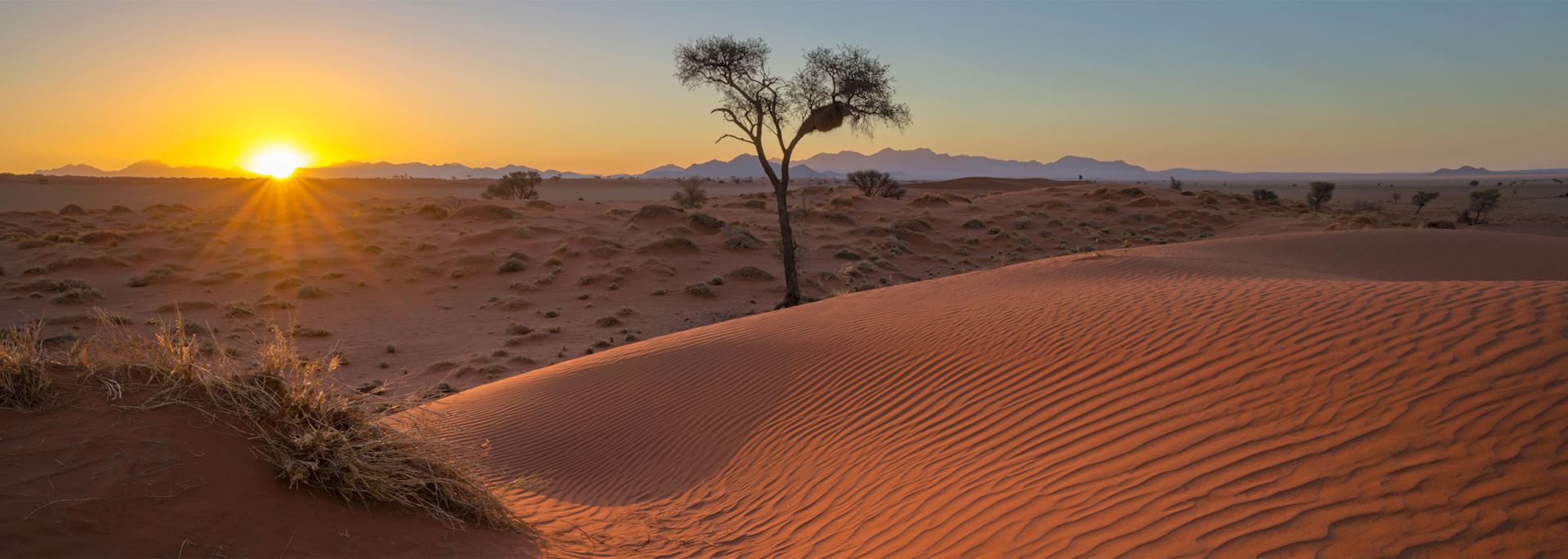 Sunrise in NamibRand Nature Reserve