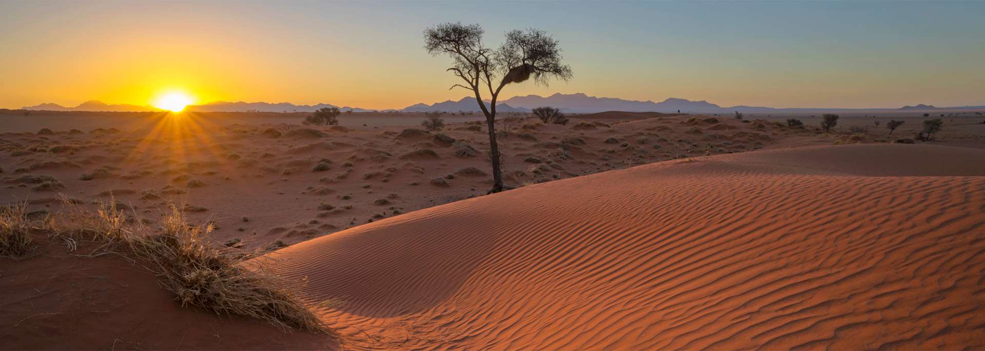 Sunrise in NamibRand Nature Reserve
