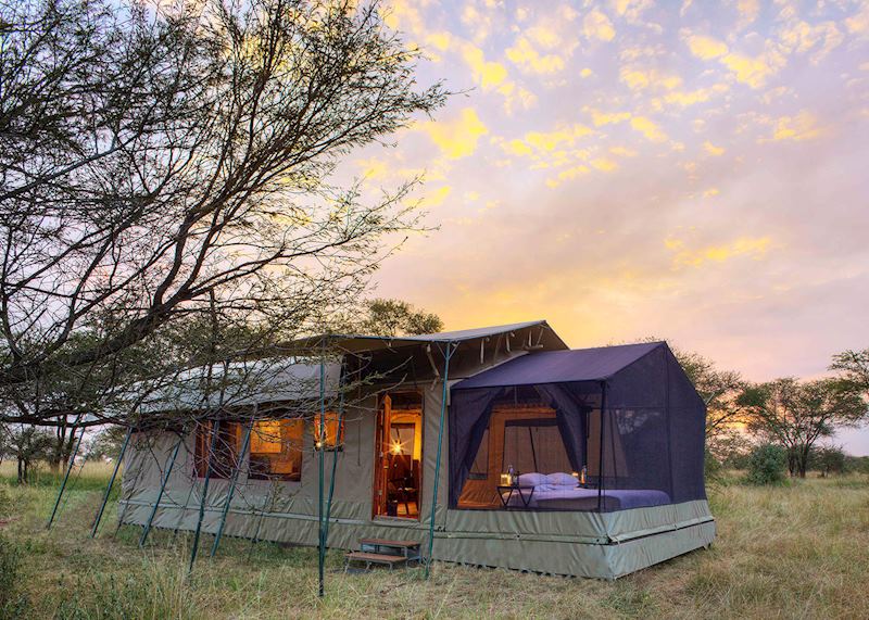 Olakira Migration Camp, Serengeti National Park
