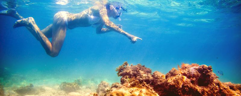 Snorkeling in Mauritius