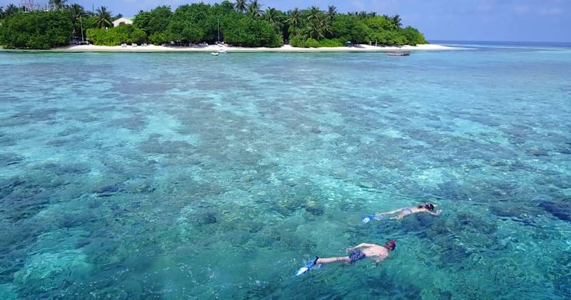 Snorkeling in the Maldives