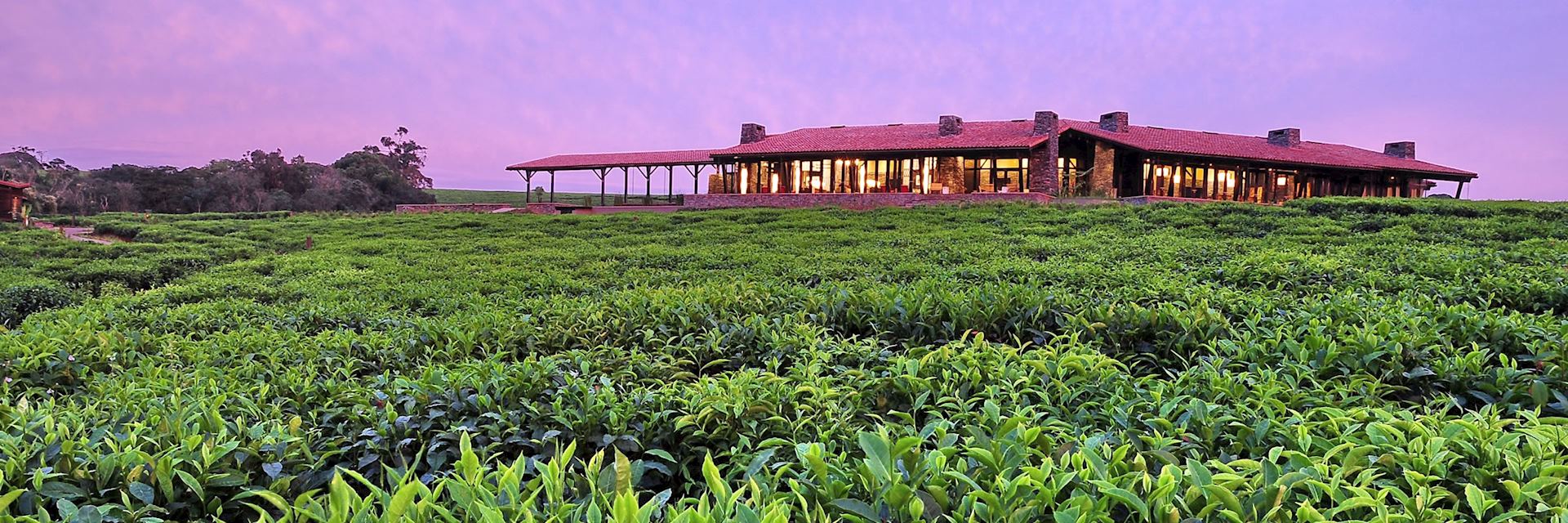 Nyungwe Forest Lodge in Rwanda