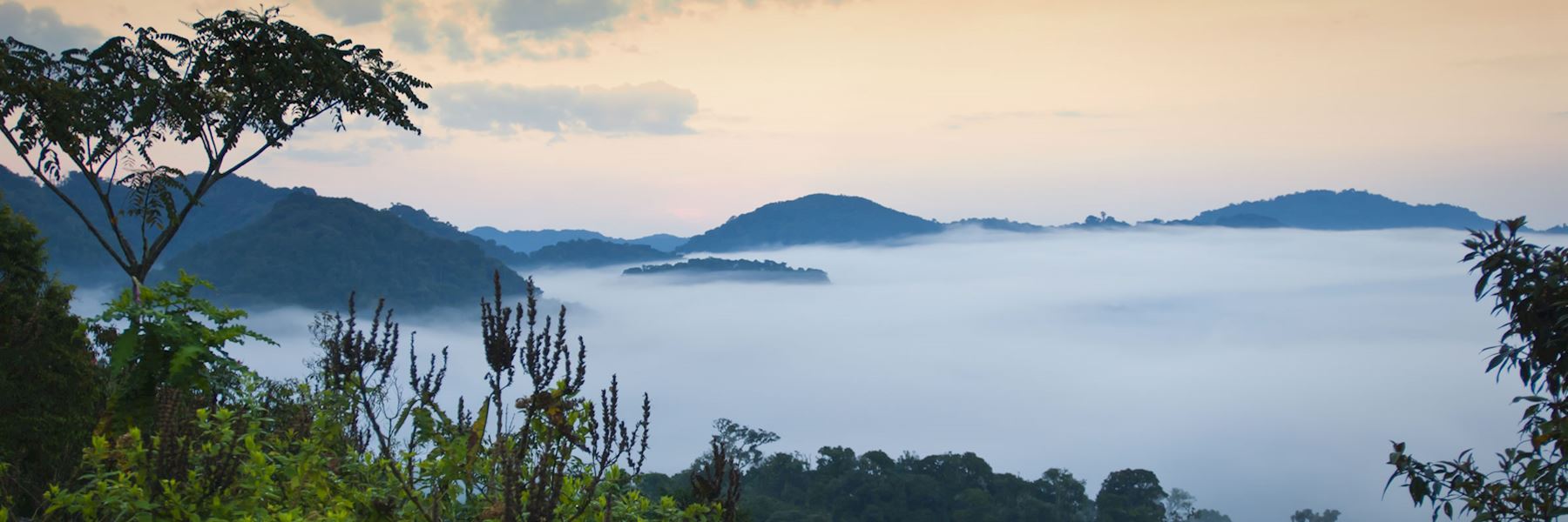 Rwanda holidays and safaris