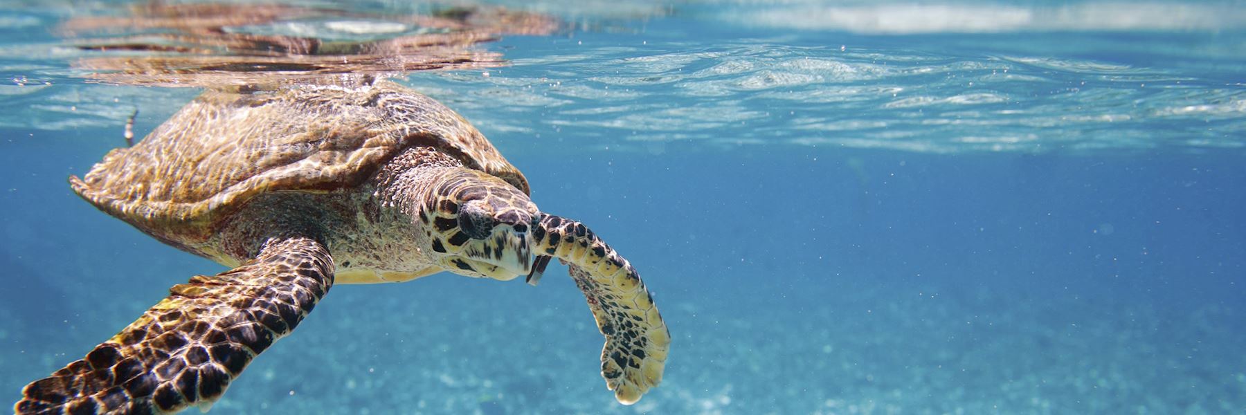 Seychelles vacations