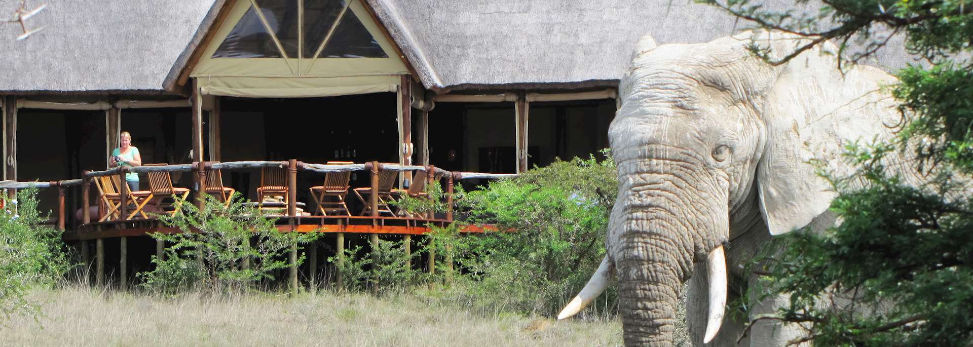 Amakhala Bush Lodge