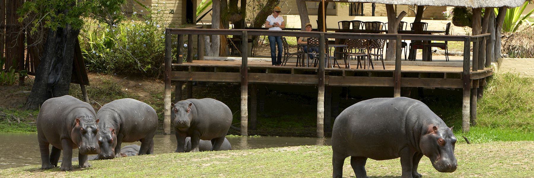 Arathusa Safari Lodge Audley Travel Arathusa Safari Lodge