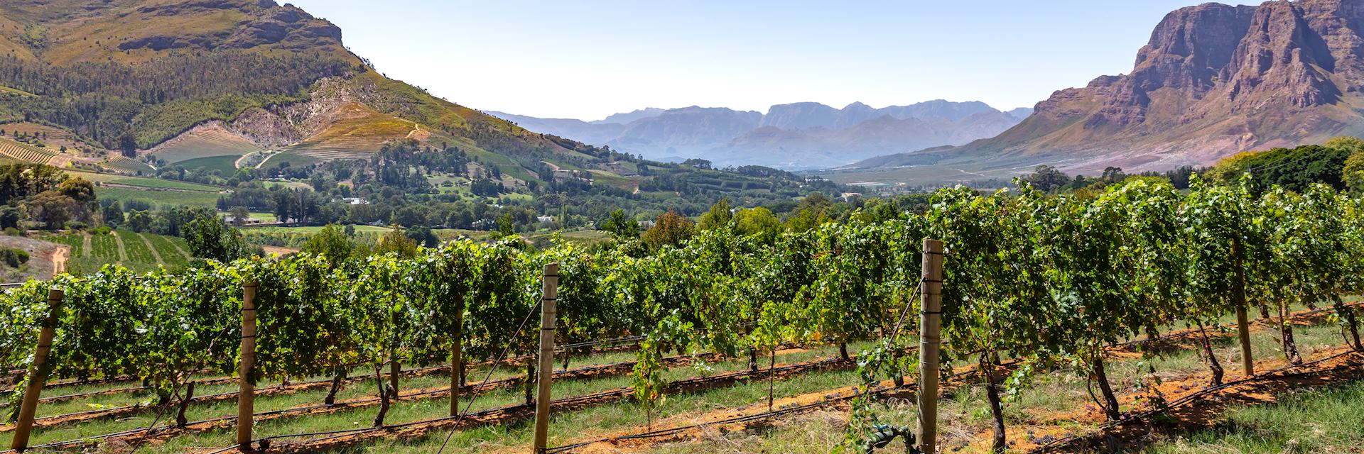 South Africa's Winelands