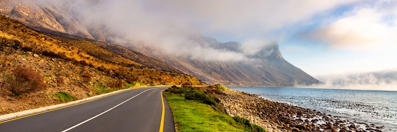 Deserted road along the Garden Route