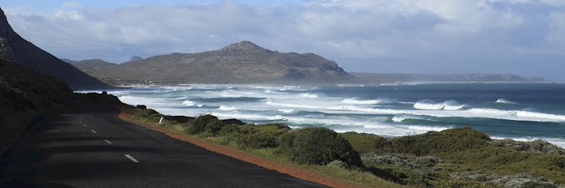 Deserted road along the Garden Route