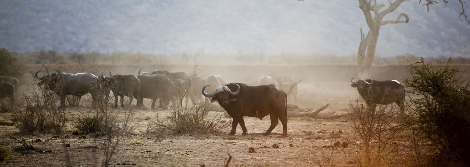 Madikwe Game Reserve in the far north of South Africa