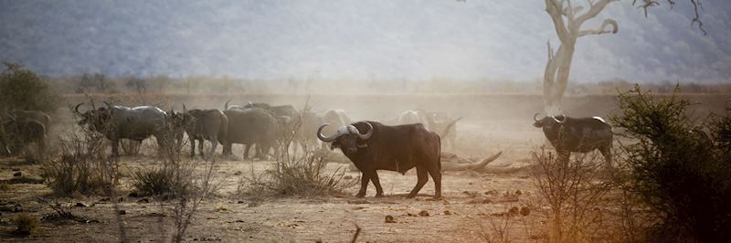 Madikwe Game Reserve in the far north of South Africa