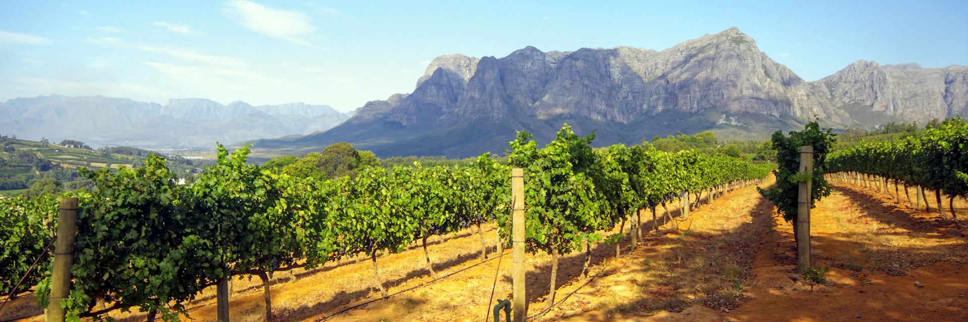 The Winelands region to the east of Cape Town