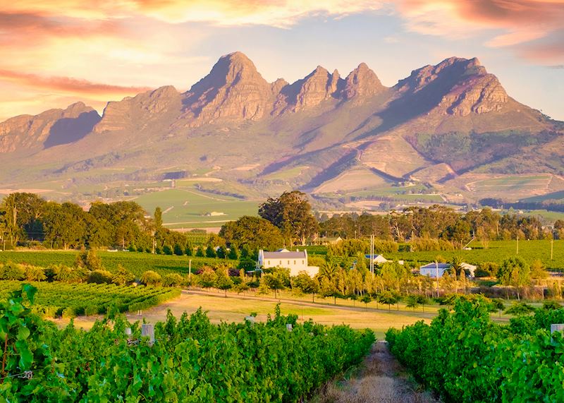 Stellenbosch, The Winelands