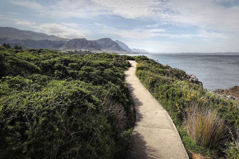 Hermanus Cliff Path