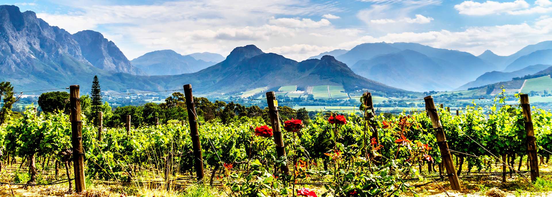 Franschhoek