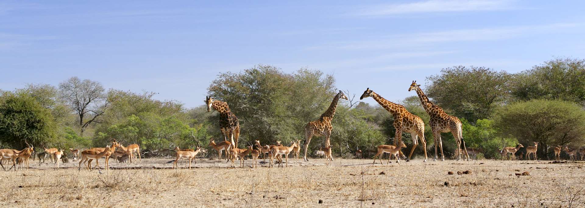 Kruger National Park in South Africa
