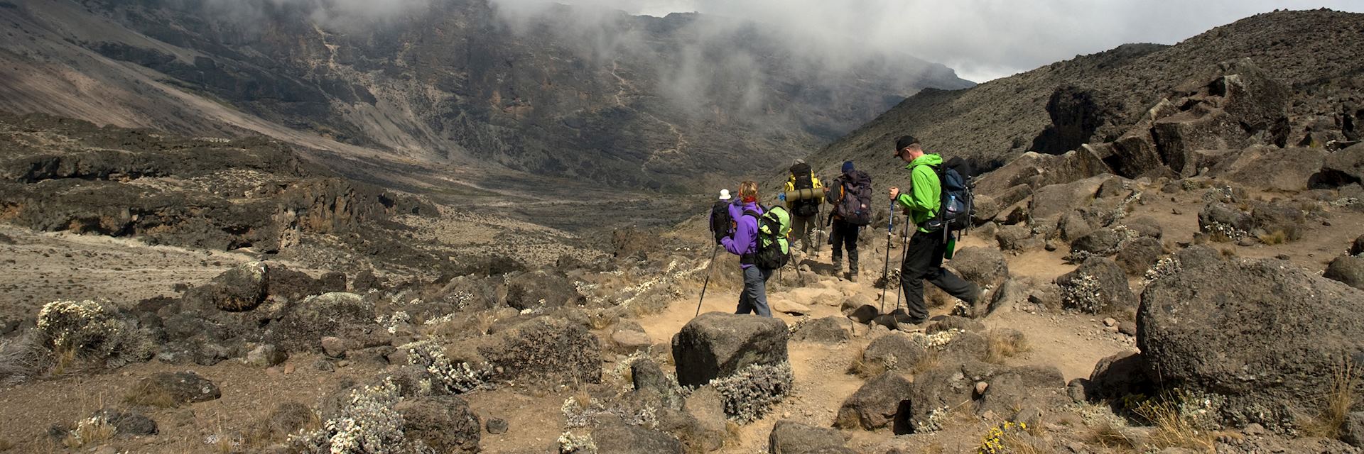 Hiking Mount Kilimanjaro