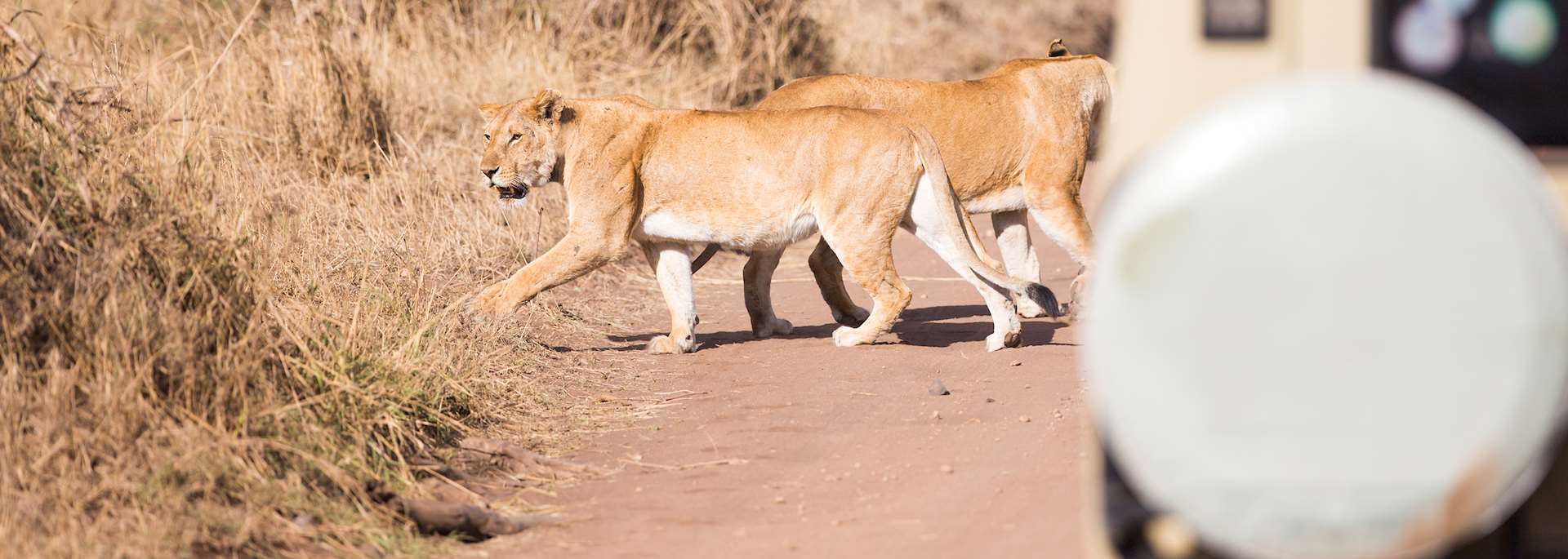 On safari in Tanzania